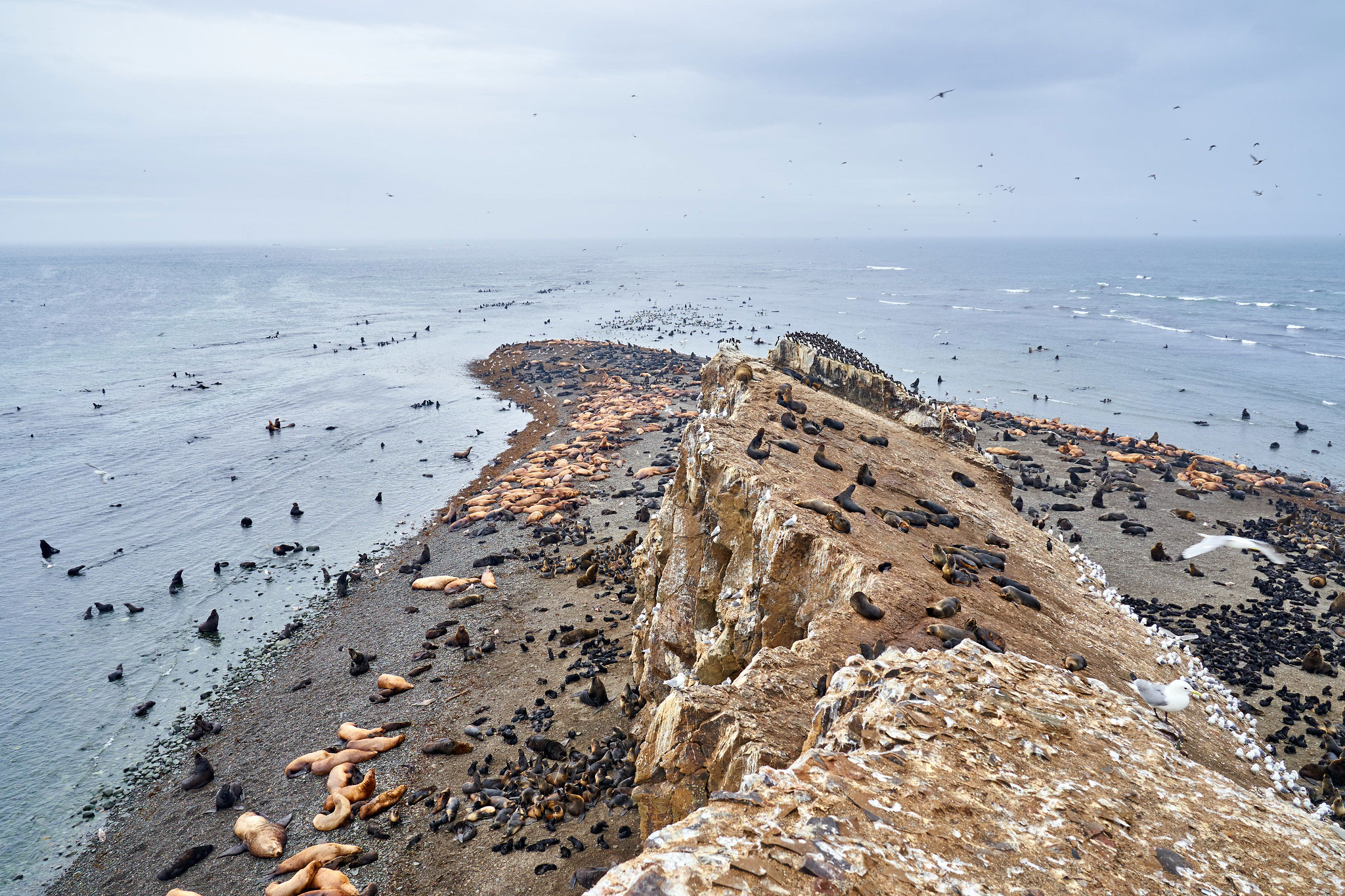 Tyuleniy Island, Сахалин (Остров Тюлений, Сахалин)